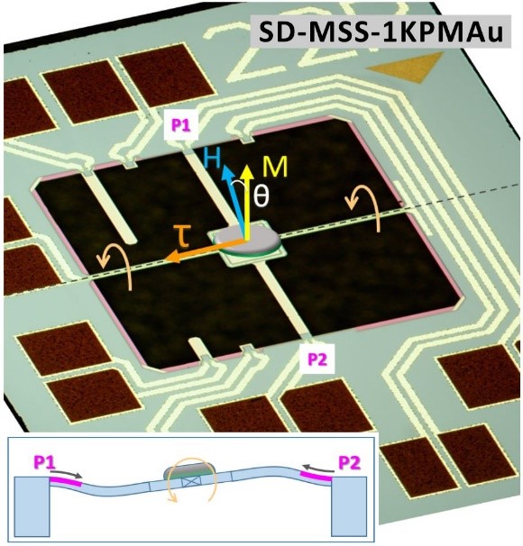 NANOSENSORS™ Membrane-type Surface-stress Sensor MSS for torque magnetometry SD-MSS-1KPMAu